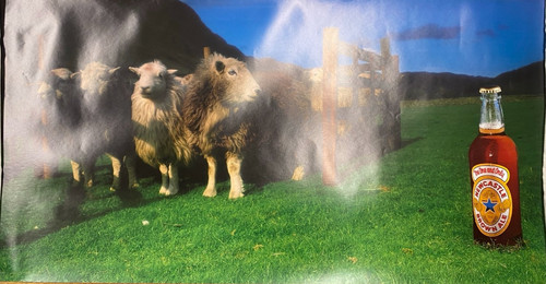 Newcastle brown ale sheep - ale,