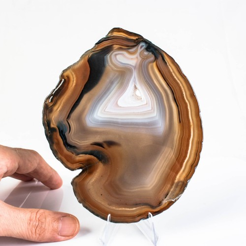 165g 134mm natural - agate, slice
