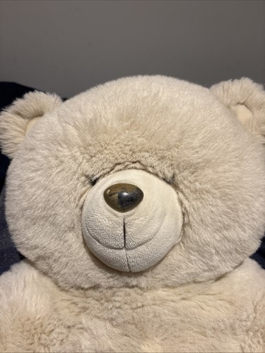 Large teddy bear around - bear,