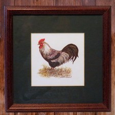 Hallmark  Framed Rooster Print