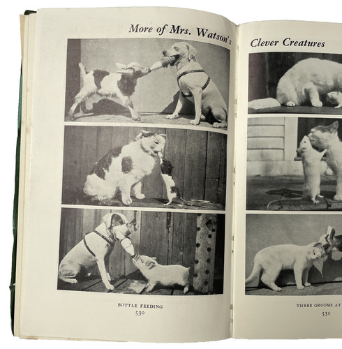 The countryman magazine - the,