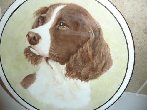 China plate with - plate,