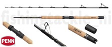 Penn regiment pro boat - regiment, rod