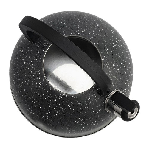 Stainless steel teapot gas - stainless,