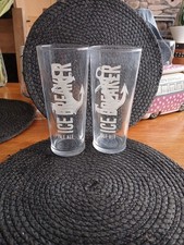 Ice Breaker Pale Ale Beer Pint