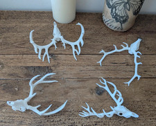Mini Deer Skull with Antlers