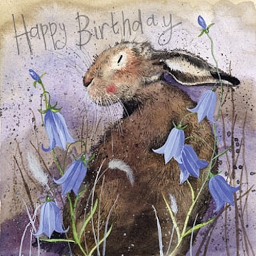 Alex clark greetings card - alex,