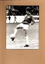 Original Press Photo - David