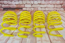 APEX Renault Clio III 2005-2009  1.4i 1.6i 1.5dci 35MM LOWERING SPRINGS