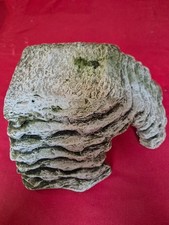 Komodo Turtle Basking Platform - Resin