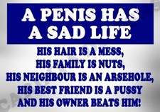 Penis funny metal sign joke