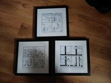 Off The Leash On The Prowl