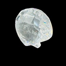 Swarovski Crystal 2006 SCS