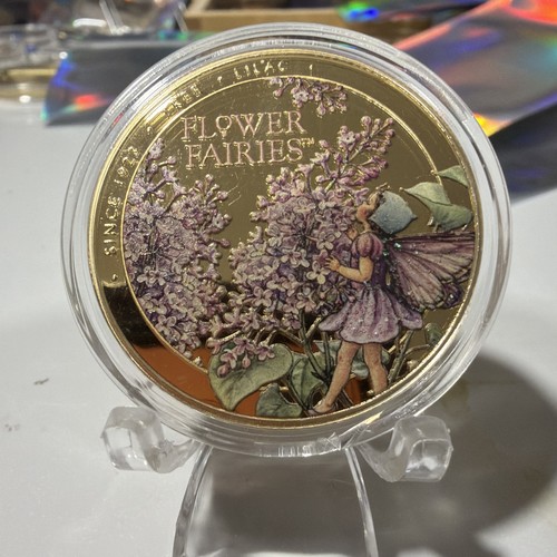2025 flower fairies lilac - flower,