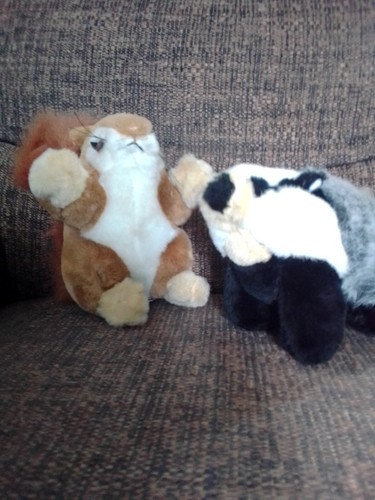 Palgrave badger squirrel - badger, &