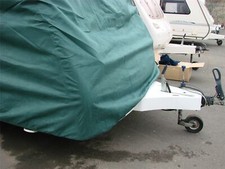 Avondale Perle Orestes 1996