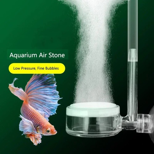 Aquarium co2 diffuser fish - co2,
