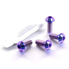 Titanium Pillion Footrest