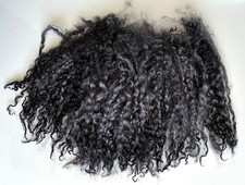 48gm WENSLEYDALE  Long LOCKS