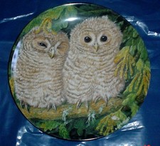 Wedgwood Collectors Plate TAWNY OWL CHICKS - THE BABY OWLS