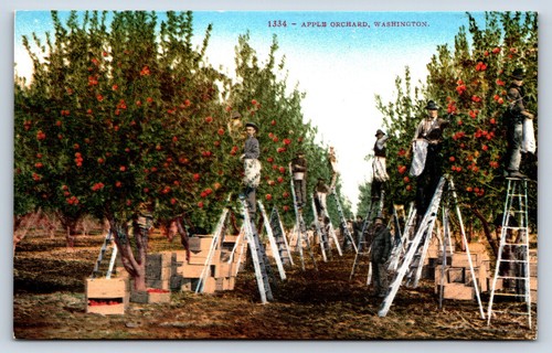 Postcard wenatchee view - postcard, wa