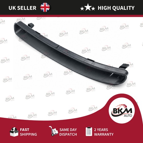 Front bumper molding - front,