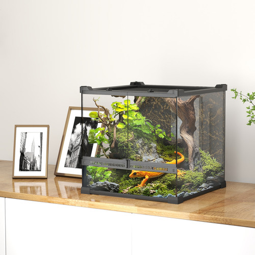 Reptile terrarium black - reptile,