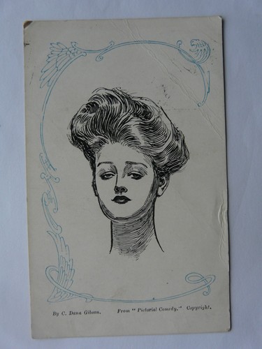 Vintage 1904 gibson girl - vintage,