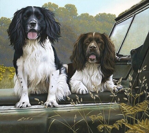 Nigel hemming off roaders - off,