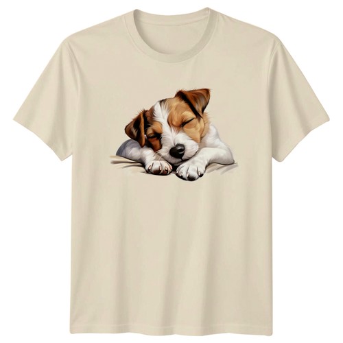 Jack russell terrier puppy - jack,