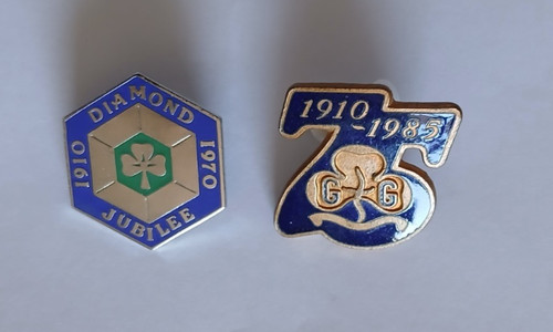 Girl guides pin badges - girl,