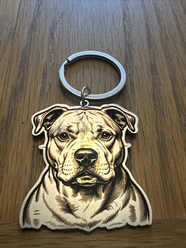 Staffordshire bull terrier - bull,