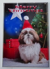 Shih-Tzu Christmas cards  six