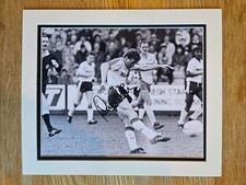 Danny Wilson, Luton Town