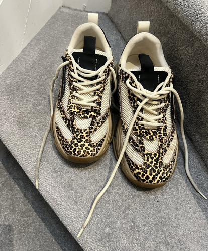 Steve madden women leopard - steve,