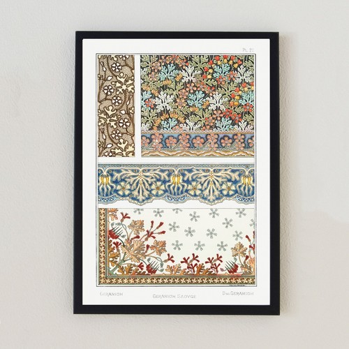 1896 vintage botanical - 1896,