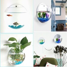 Hanging wall mounted fish - hanging, bowl