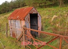 PHOTO  CORRUGATED TIN SHED