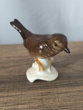 Goebel wren bird - goebel,