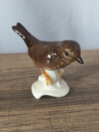 Goebel wren bird - wren,