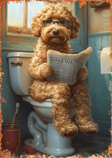 Poodle Dog on Toilet Funny Bathroom Artwork Printed on Metal Sign Gift HandMade