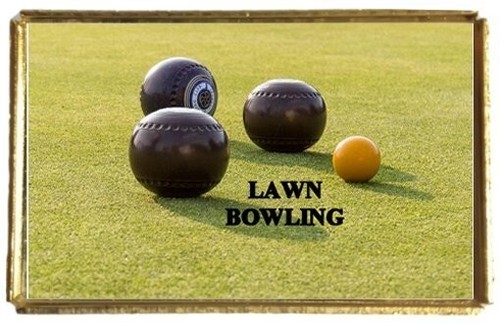 Lawn bowling bowls - bowls, sport