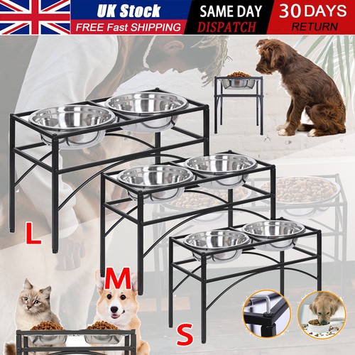 Double elevated raised - double, dog