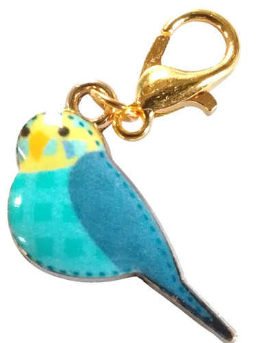 Beautiful budgerigar budgie - budgerigar,