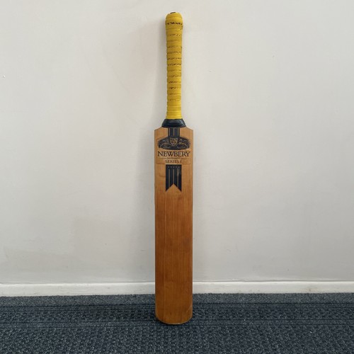 Newbery series handmade - series, 1