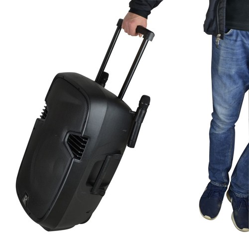 Portable speaker battery - speaker, 15":