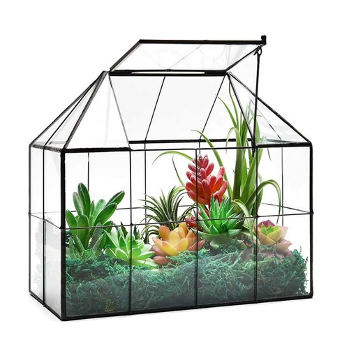 Large glass greenhouse - large,