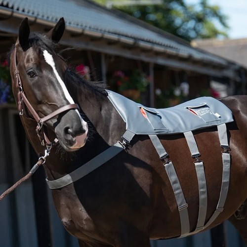 Equilibrium massage pad - pad, horse