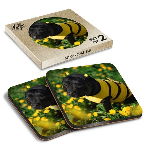 Boxed square coasters - 2,