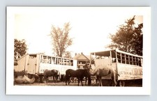Vintage Photo Clyde Beatty